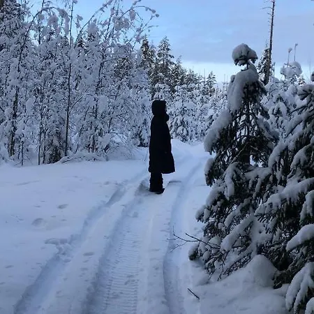 Lejlighed Vuorijaervi *