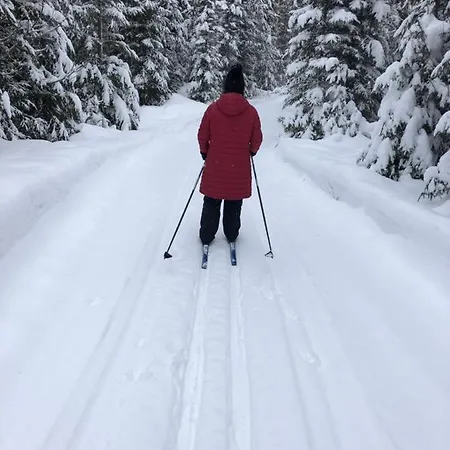 Vuorijaervi Lejlighed