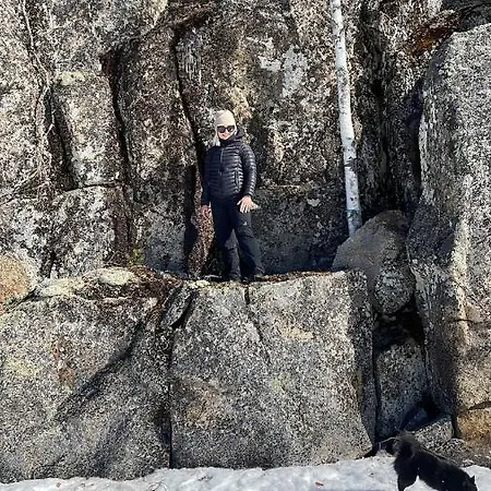 شقة Vuorijaervi